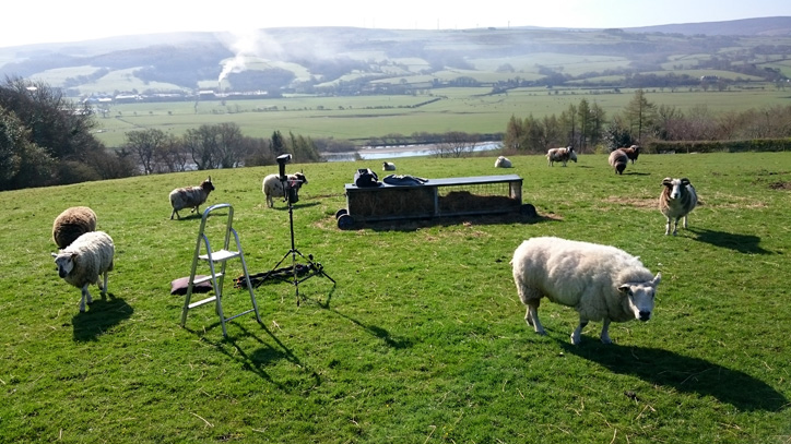 Rural professional photography Lancashire